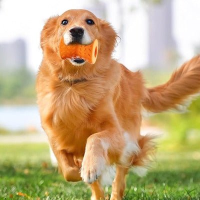 Distributeur Croquettes Chien - DeliJeuâą - Coin Chouchou
