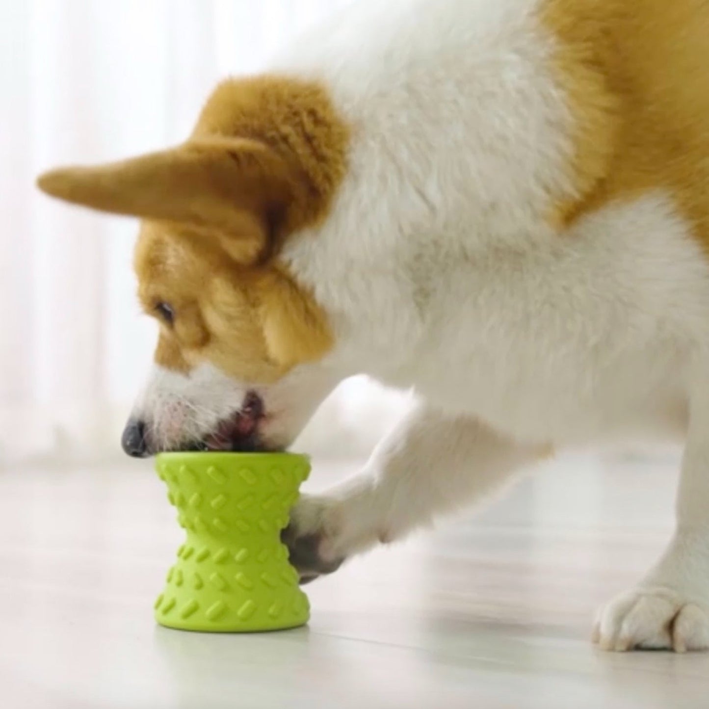 Distributeur Croquettes Chien - DeliJeuâą - Coin Chouchou