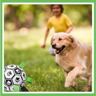 Balle pour chien - FootDog™ - Coin Chouchou