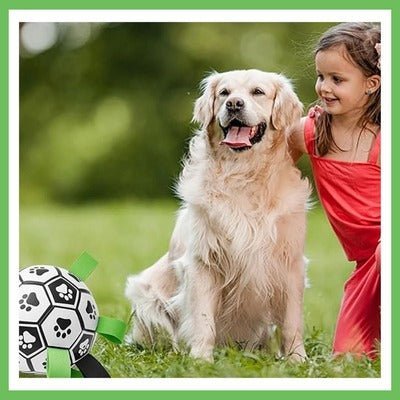 Balle pour chien - FootDog™ - Coin Chouchou