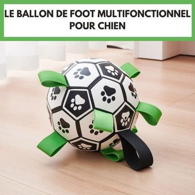 Balle pour chien - FootDog™ - Coin Chouchou