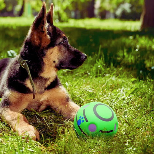 Balle pour chien SonoBalle utilisée en extérieur par un berger allemand allongé dans l’herbe.