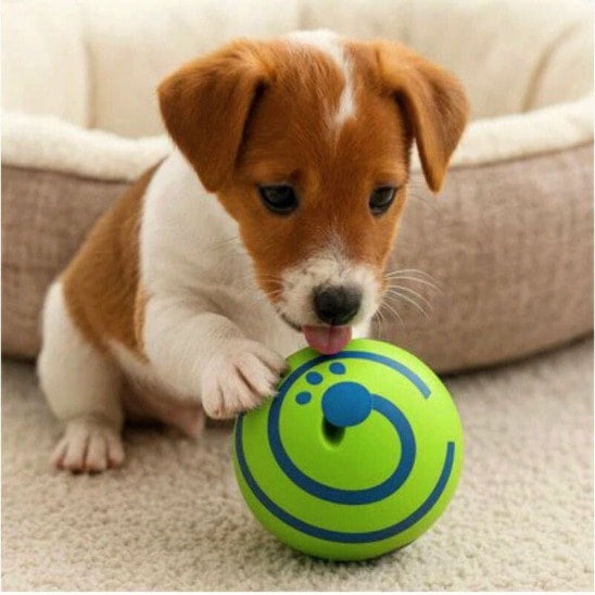 Balle pour chien SonoBalle explorée par un jeune chiot curieux en intérieur.