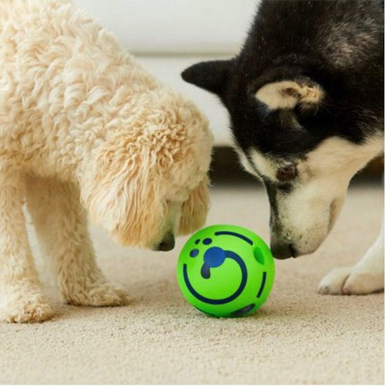 Balle pour chien SonoBalle explorée par deux chiens curieux en intérieur.