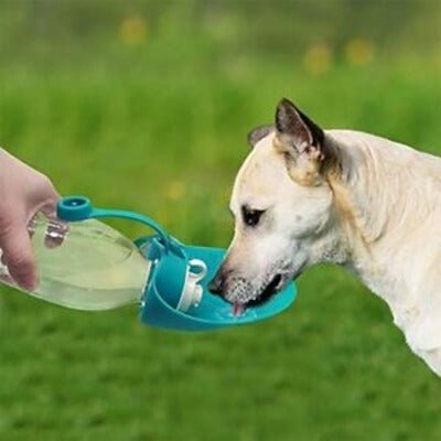 Gourde pour chien - AquaSoif™ - Coin Chouchou