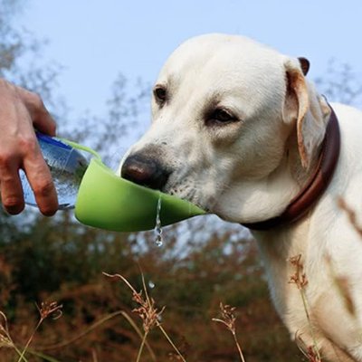 Gourde pour chien - AquaSoif™ - Coin Chouchou