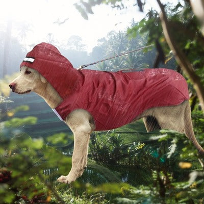 impermeable-chien-bordeaux