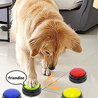 Jouet pour Chien - Buzzer Chien : Le Jouet Intelligent - Coin Chouchou