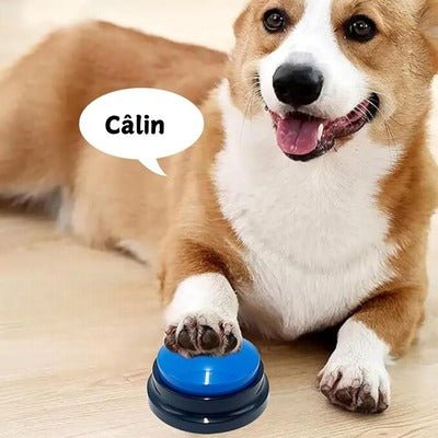 Jouet pour Chien - Buzzer Chien : Le Jouet Intelligent - Coin Chouchou