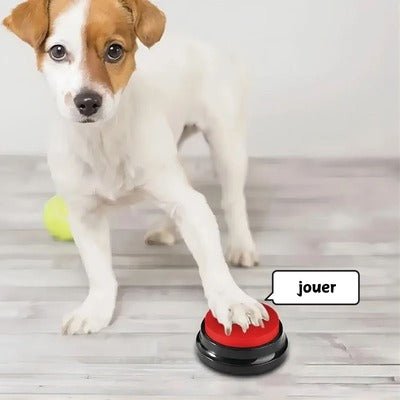 Jouet pour Chien - Buzzer Chien : Le Jouet Intelligent - Coin Chouchou