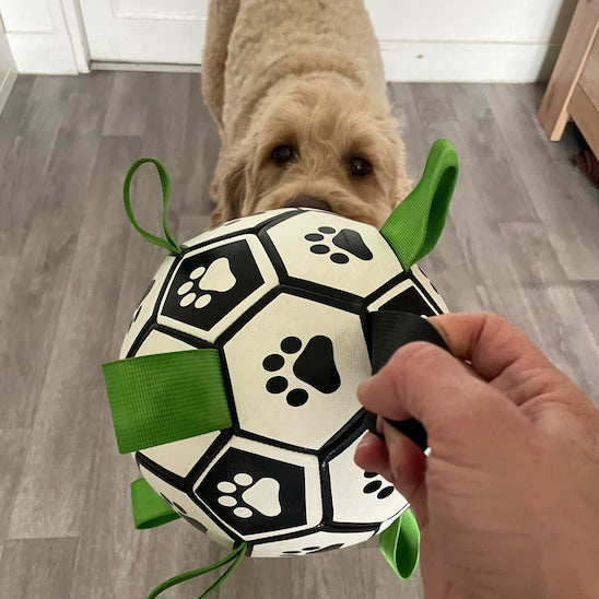 Jouet pour chien FootDog utilisé pour un jeu interactif entre un chien et son maître.