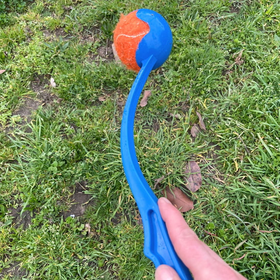 lanceur de balle pour chien avec balle de tennis standard