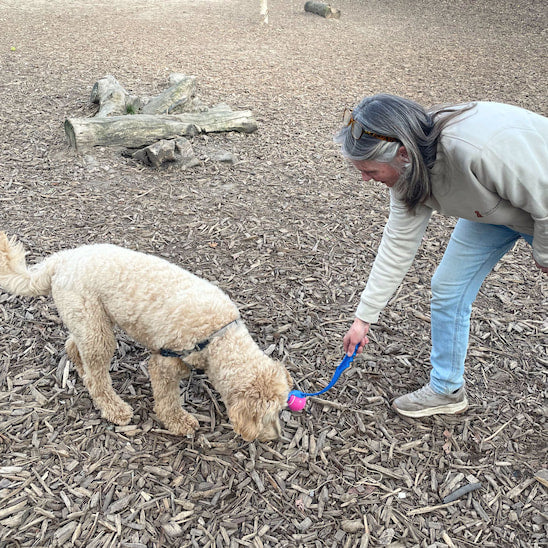 Lanceur de balle pour chien permettant de ramasser la balle sans se pencher