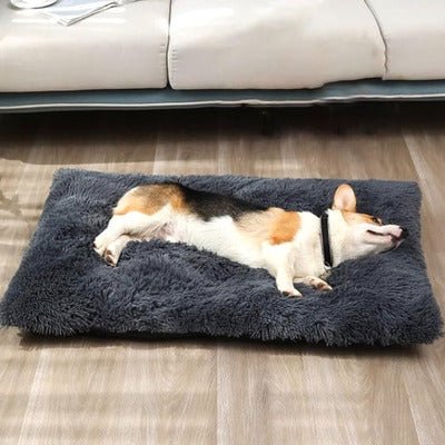 Panier chien - CozyChien™ - Coin Chouchou