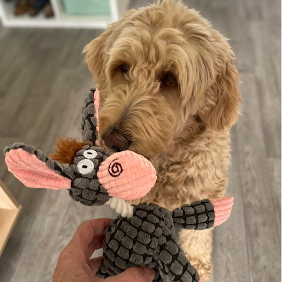 chien tenant la peluche pour chien Gaston l’Ânon dans la gueule