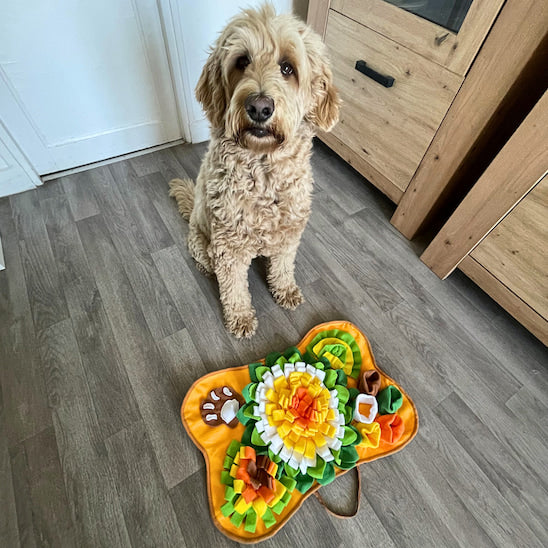 chien assis devant un tapis de fouille chien en attendant son repas