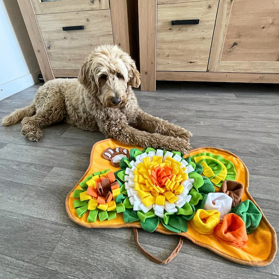 chien calme après utilisation d’un tapis de fouille chien