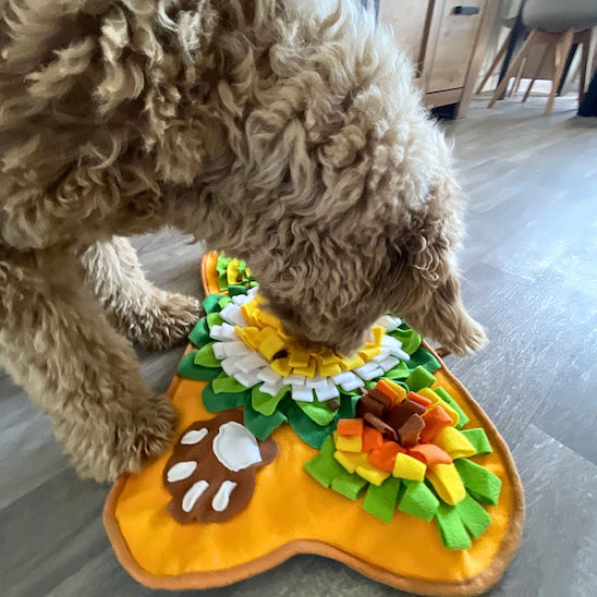 tapis de fouille chien utilisé à la maison par un chien