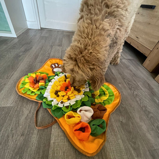tapis de fouille chien Truffe Curieuse utilisation avec croquettes cachées