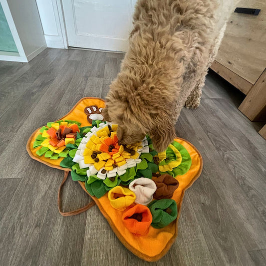tapis de fouille chien Truffe Curieuse utilisation avec croquettes cachées