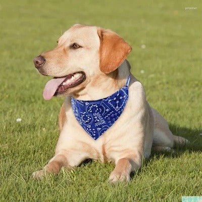 Bandana Chien - CasualChic™ - Coin Chouchou