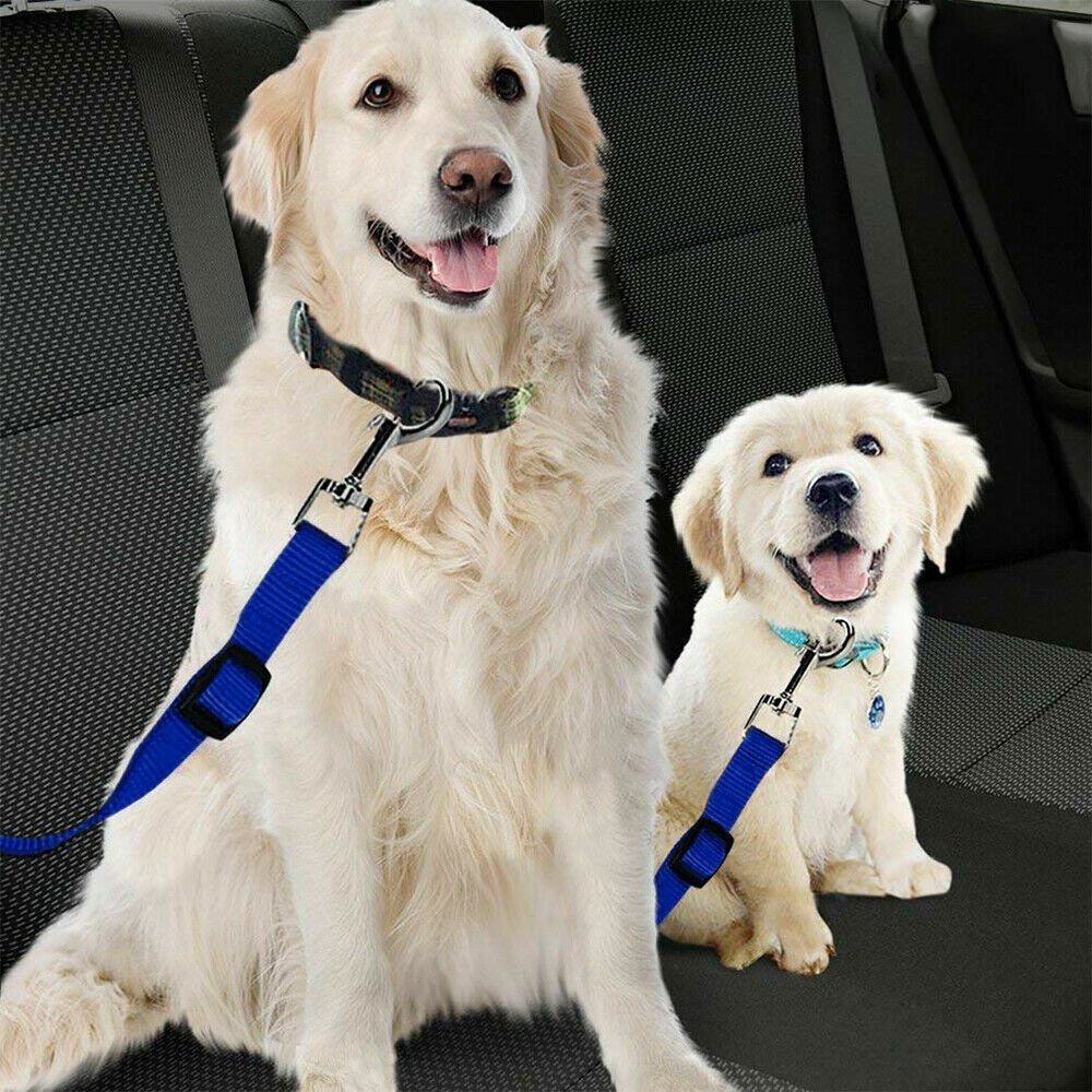 Ceinture de sécurité pour chien - VoyageSûr ™ - Coin Chouchou