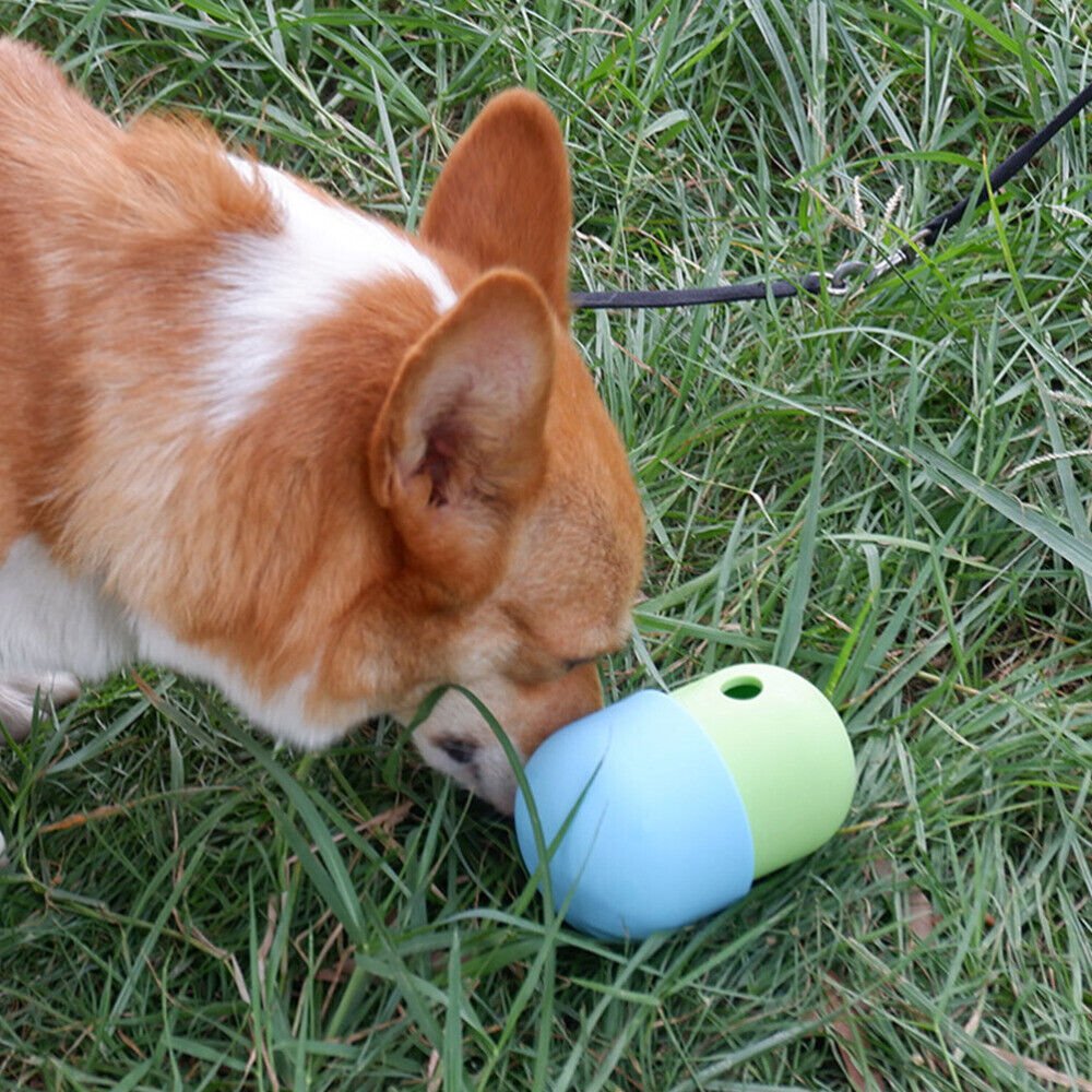 Distributeur croquettes chien - CroquetteMaligne ™ - Coin Chouchou