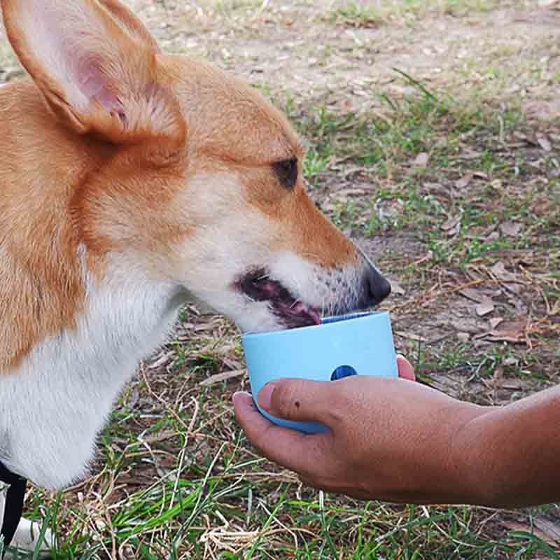 Distributeur croquettes chien - CroquetteMaligne ™ - Coin Chouchou