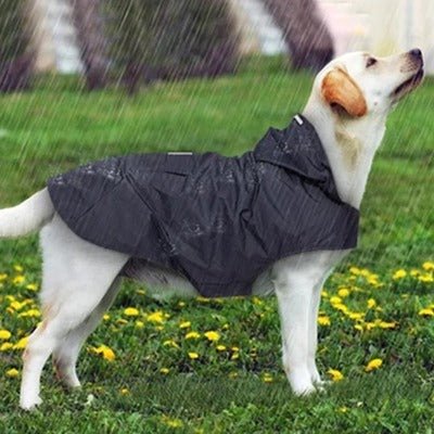 imperméable chien - PluieAdieu ™ - Coin Chouchou