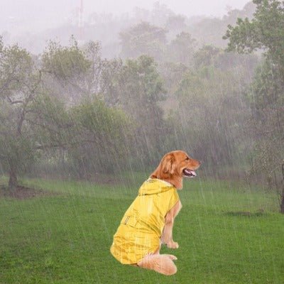 imperméable chien - PluieAdieu ™ - Coin Chouchou