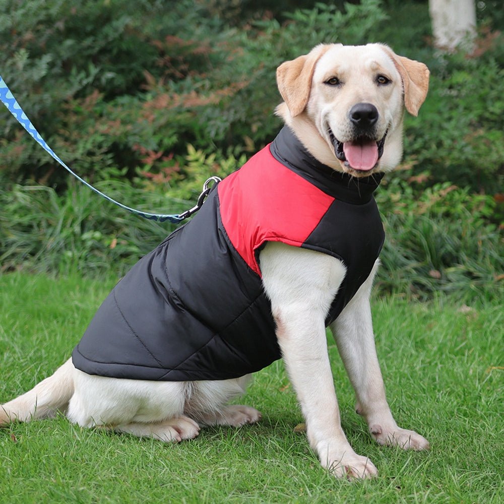 Mode Doudoune ™ - Veste imperméable pour chien - Coin Chouchou