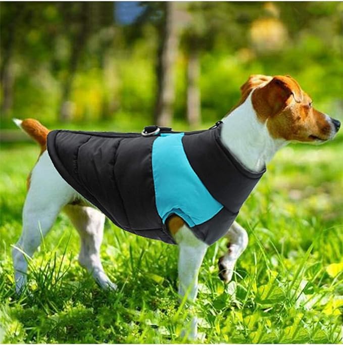 Mode Doudoune ™ - Veste imperméable pour chien - Coin Chouchou